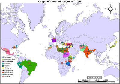 Recent advancement in OMICS approaches to enhance abiotic stress tolerance in legumes